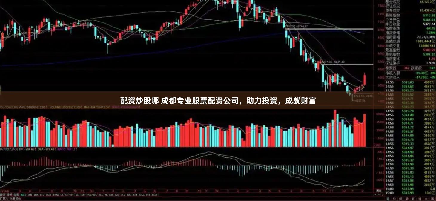 配资炒股哪 成都专业股票配资公司，助力投资，成就财富