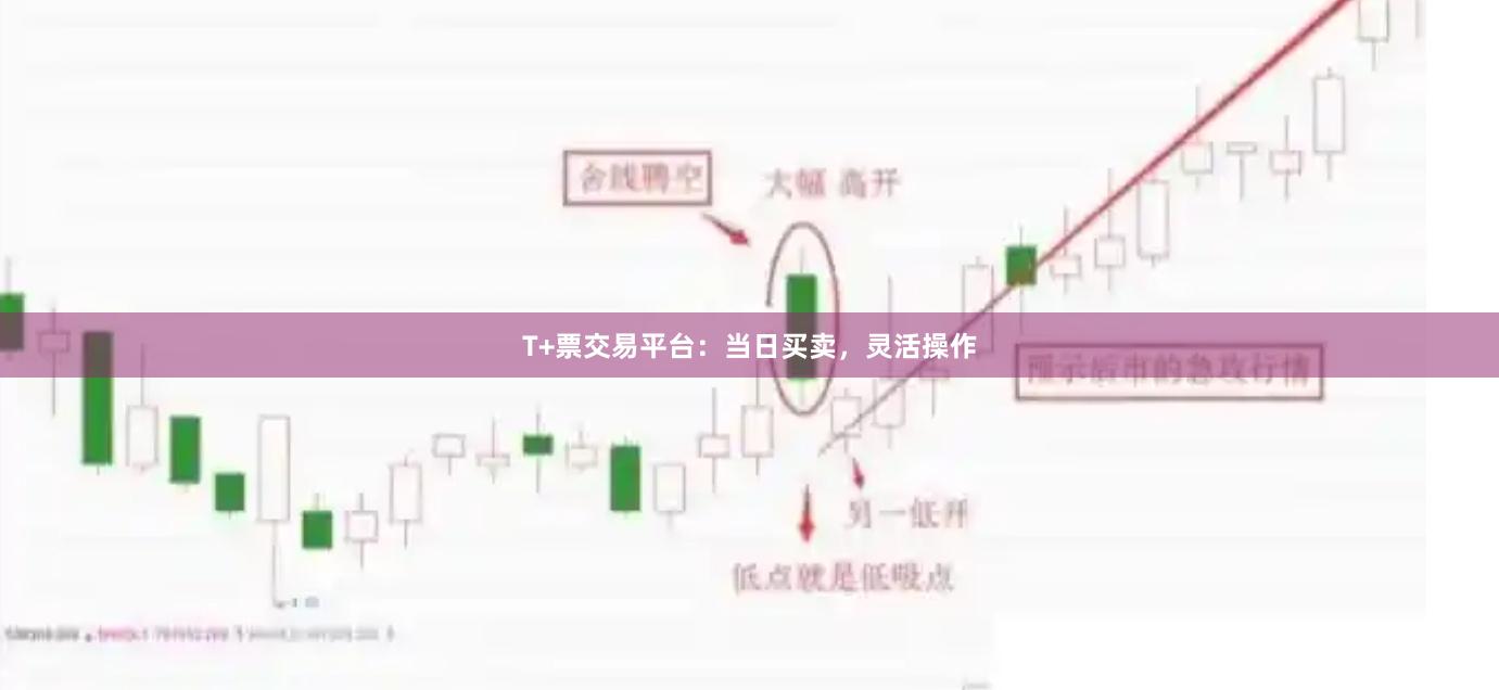 T+票交易平台：当日买卖，灵活操作